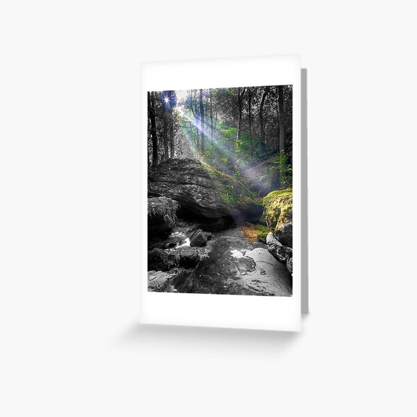 Sun Kissed Greeting Card