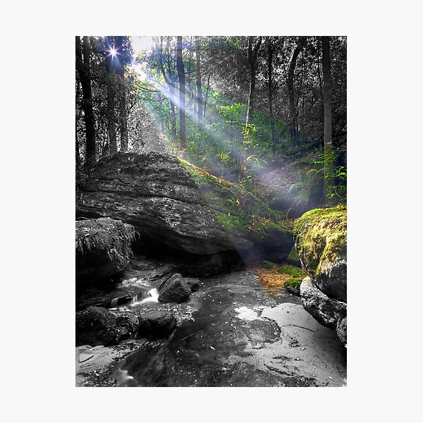 Sun Kissed Photographic Print