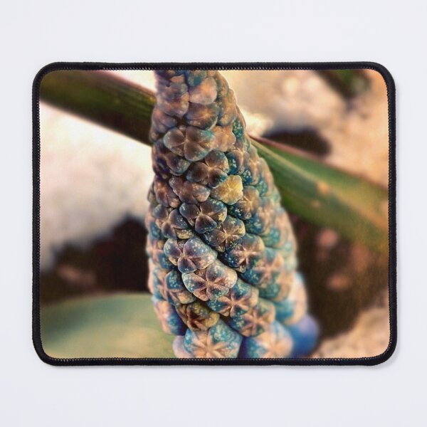 Item preview, colors in the snow designed and sold by Treemonk.