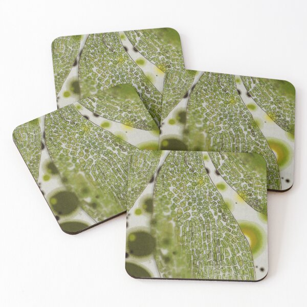 Item preview, Microscopic leaf abstract design designed and sold by Efekan Turker.