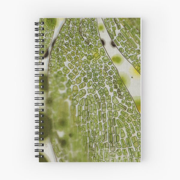 Item preview, Microscopic leaf abstract design designed and sold by Efekan Turker.