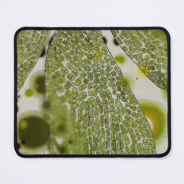 Item preview, Microscopic leaf abstract design designed and sold by Efekan Turker.