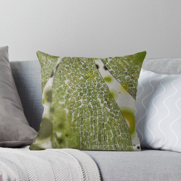 Item preview, Microscopic leaf abstract design designed and sold by Efekan Turker.