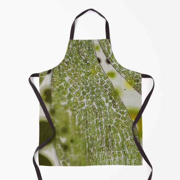 Item preview, Microscopic leaf abstract design designed and sold by Efekan Turker.