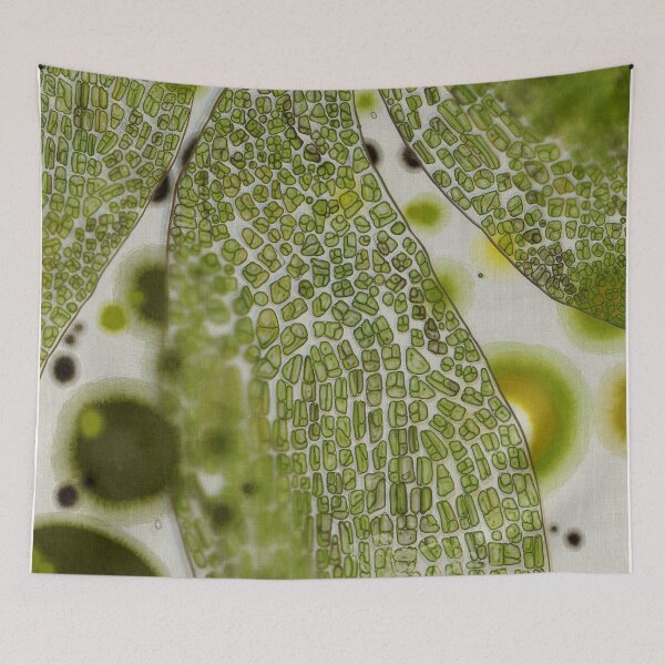 Item preview, Microscopic leaf abstract design designed and sold by Efekan Turker.