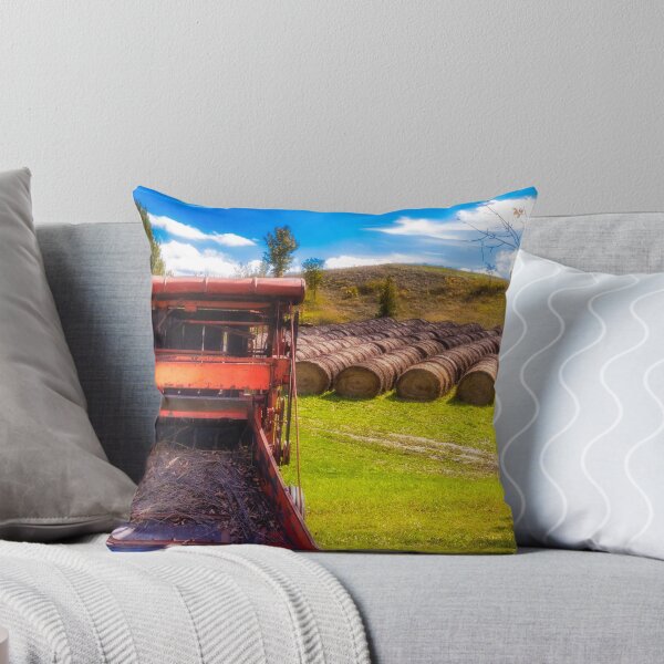 Item preview, Hay Baler designed and sold by Robert Alsop.