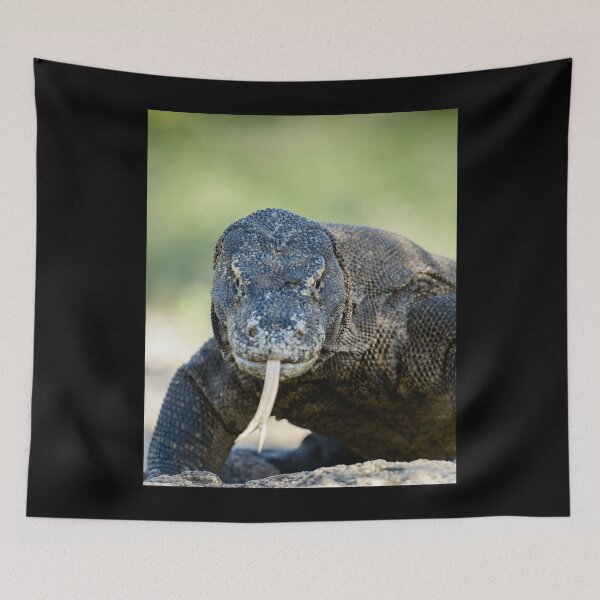 Item preview, Dragon de Komodo . graphique designed and sold by feyhnvfeijoo.