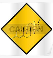 Chemistry Caution Signs Testosterone Poster