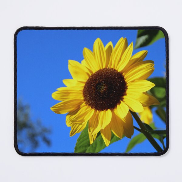 Item preview, Sunflower. From Ukraine with love. designed and sold by fowons.