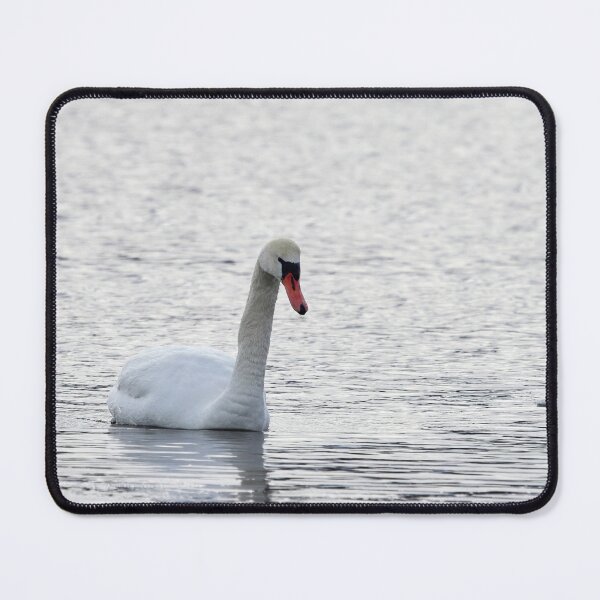 Item preview, One Mute Swan Coming designed and sold by Jouko Lehto Photography.