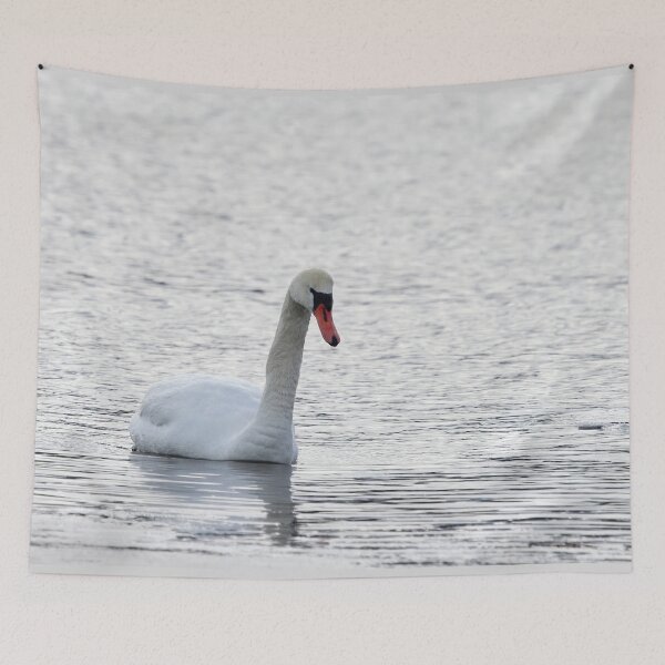 Item preview, Viene un cisne mudo designed and sold by Jouko Lehto Photography.