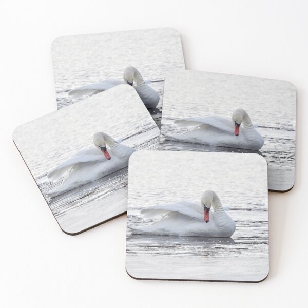 Item preview, Cisne mudo delicado designed and sold by Jouko Lehto Photography.
