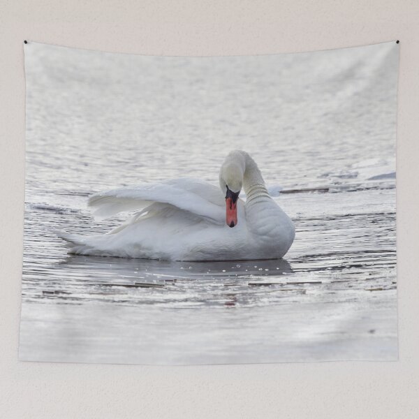 Item preview, Cisne mudo delicado designed and sold by Jouko Lehto Photography.