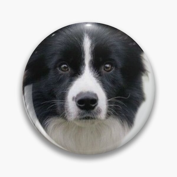 Item preview, Border colie designed and sold by Dogs and Pets.