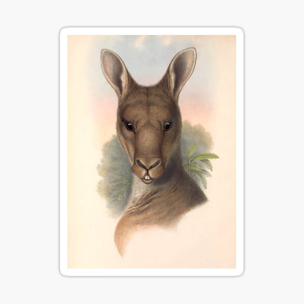 Item preview, Vintage Kangaroo designed and sold by collageDP.