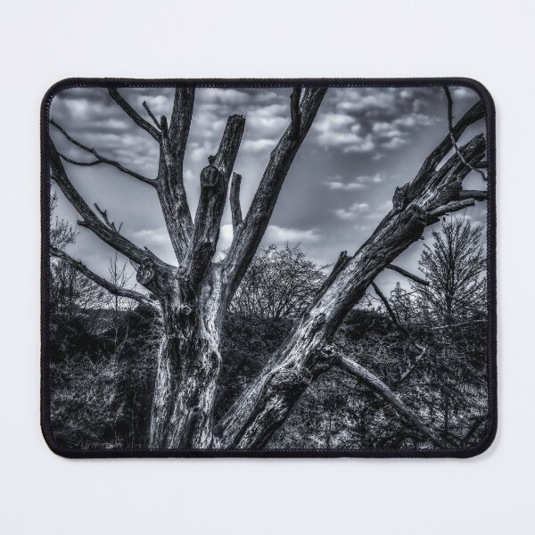 Item preview, Tree Trunk designed and sold by axp7884.
