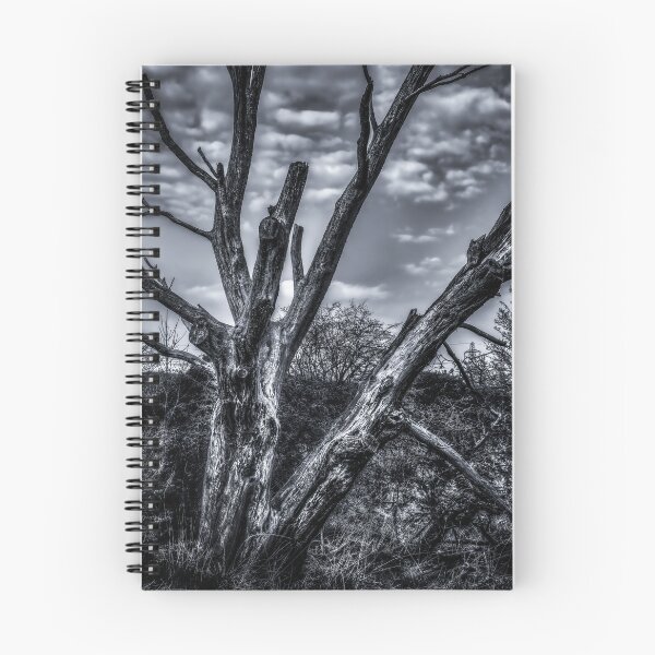 Item preview, Tree Trunk designed and sold by axp7884.