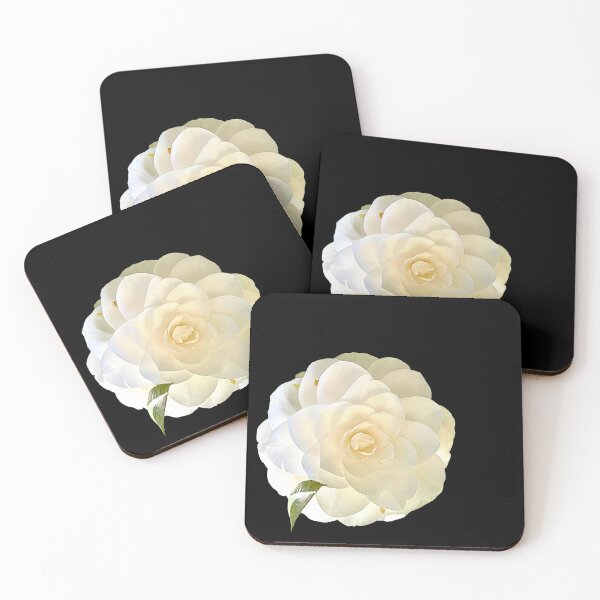 Item preview, White camellia flower in Charleston, South Carolina designed and sold by MiddleJourney.
