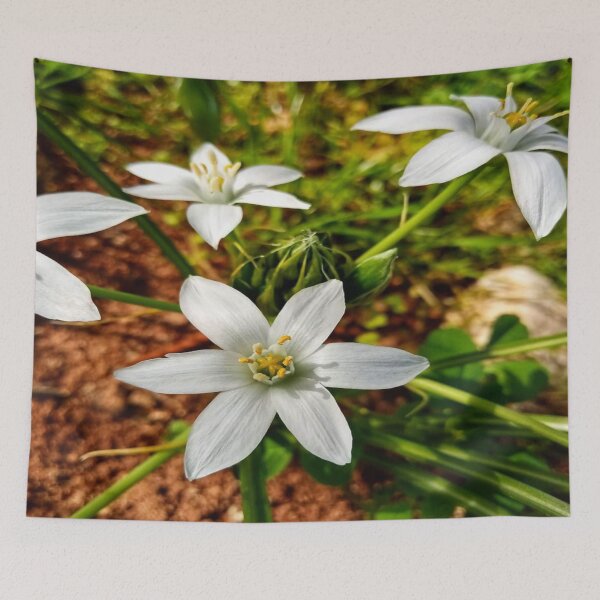 Item preview, Botanical of white roses. designed and sold by DaliaSabryTee.