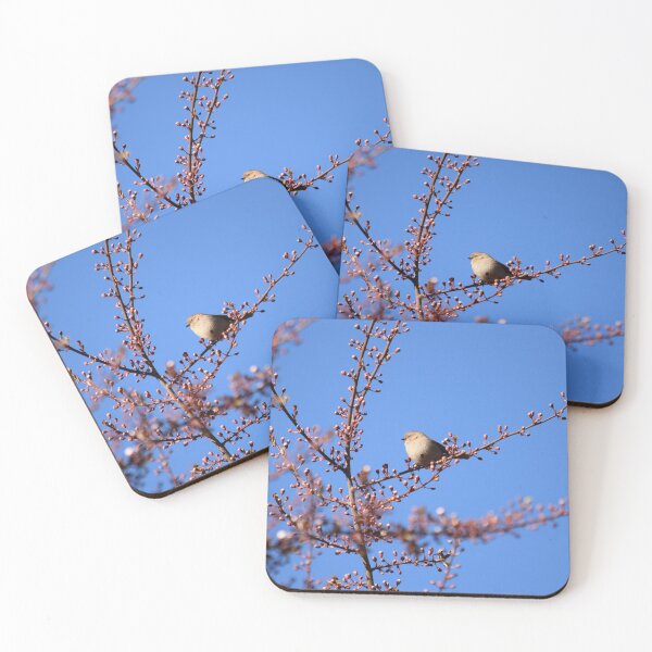 Item preview, Cherry Blossom Bushtit designed and sold by The-PNW-Birder.