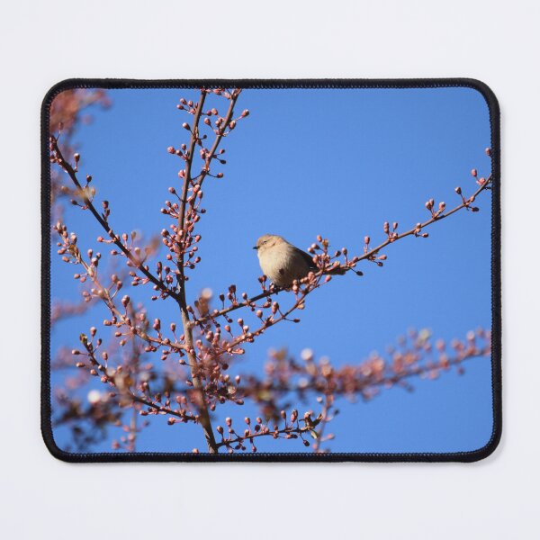 Item preview, Cherry Blossom Bushtit designed and sold by The-PNW-Birder.