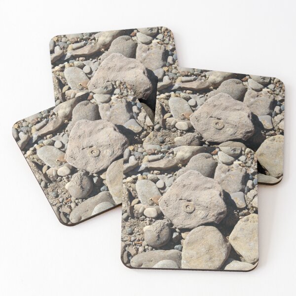 Item preview, Falls of the Ohio Fossil Hunter 09 designed and sold by Relics Of The Day.