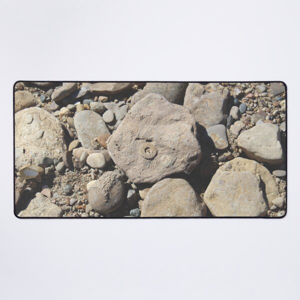 Item preview, Falls of the Ohio Fossil Hunter 09 designed and sold by Relics Of The Day.