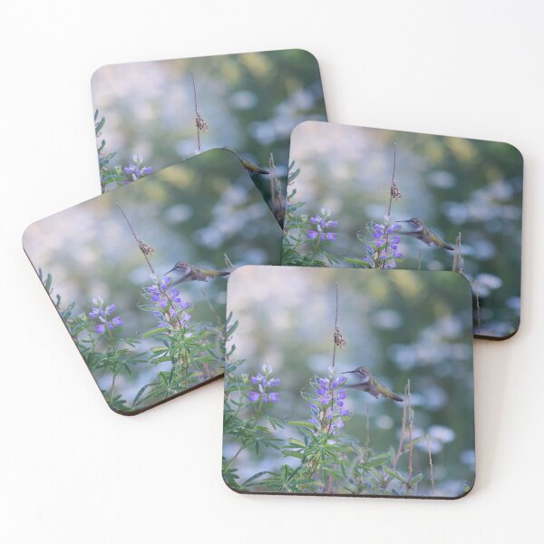 Item preview, Hummingbird Magic designed and sold by The-PNW-Birder.