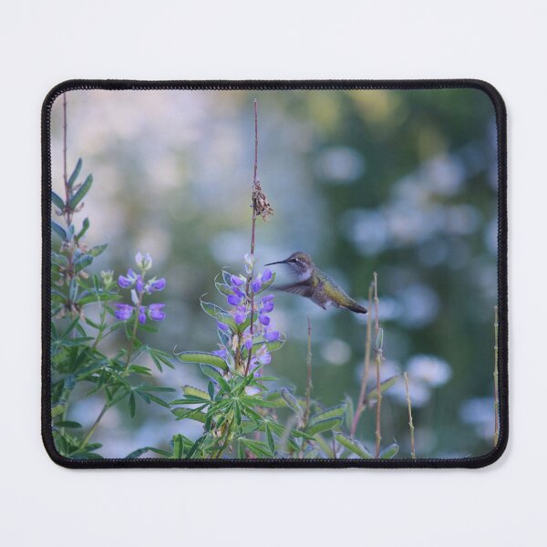 Item preview, Hummingbird Magic designed and sold by The-PNW-Birder.