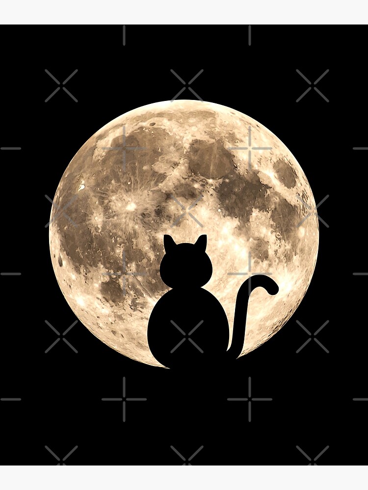 "Black Cat Full Moon Silhouette" Poster for Sale by KTSubz Redbubble