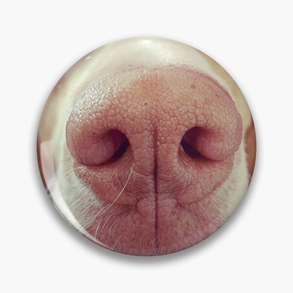 Item preview, Close up of dog's nose designed and sold by WildcraftTrade.