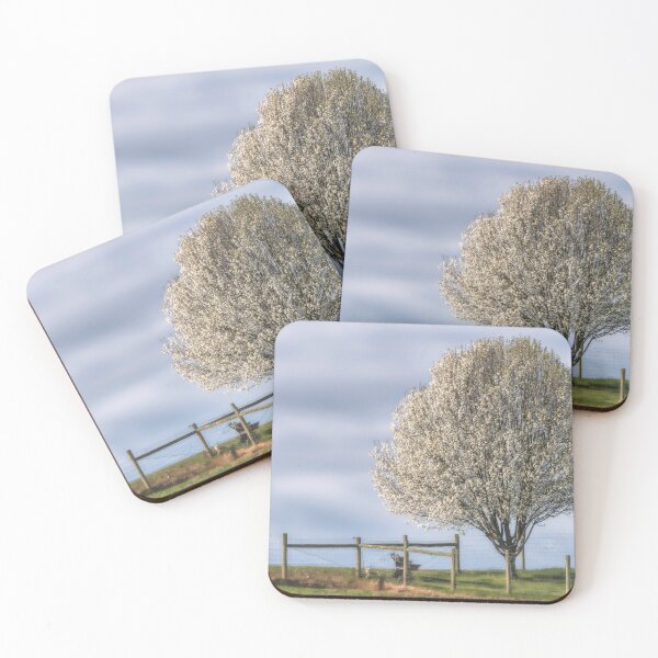 Item preview, Blossoming designed and sold by Jim Love.