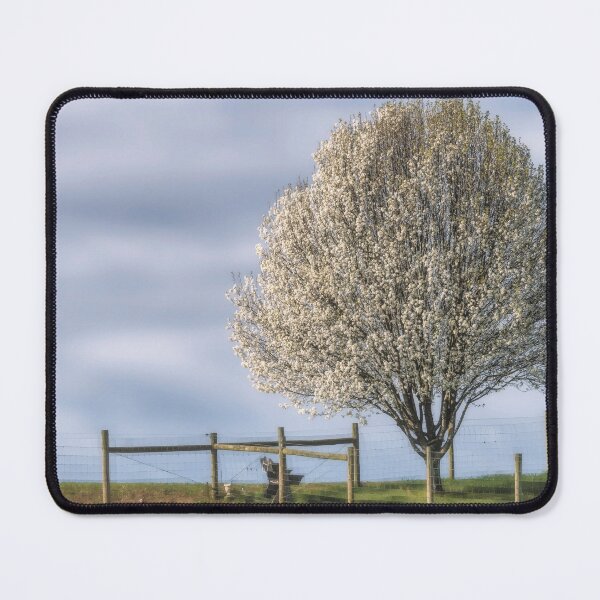 Item preview, Blossoming designed and sold by Jim Love.