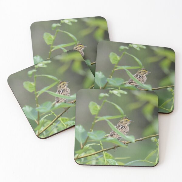 Item preview, Savannah Sparrow designed and sold by The-PNW-Birder.