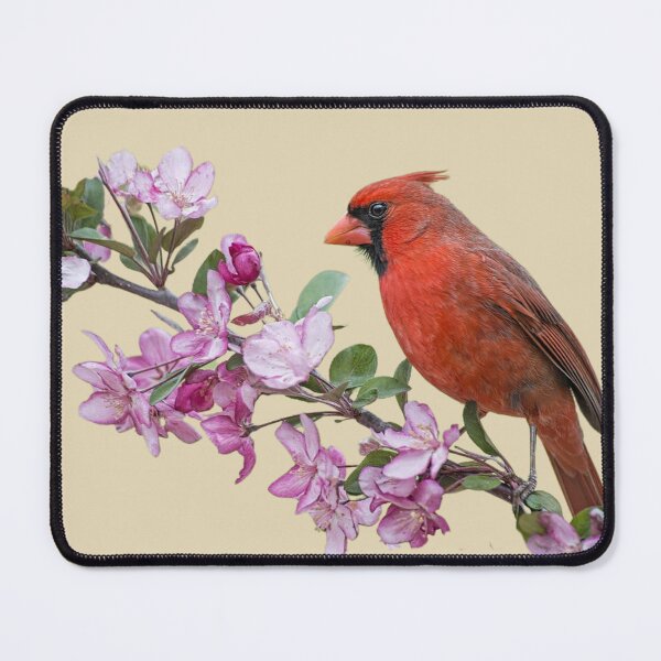 Item preview, CARDINAL ON SPRING BLOSSOM designed and sold by THE AMERICAN TEEVANGELIST.