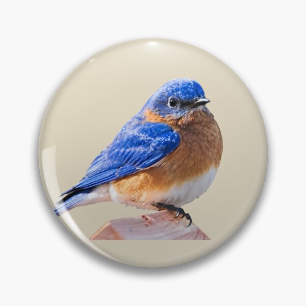 Item preview,  BLUE BIRD  designed and sold by THE AMERICAN TEEVANGELIST.