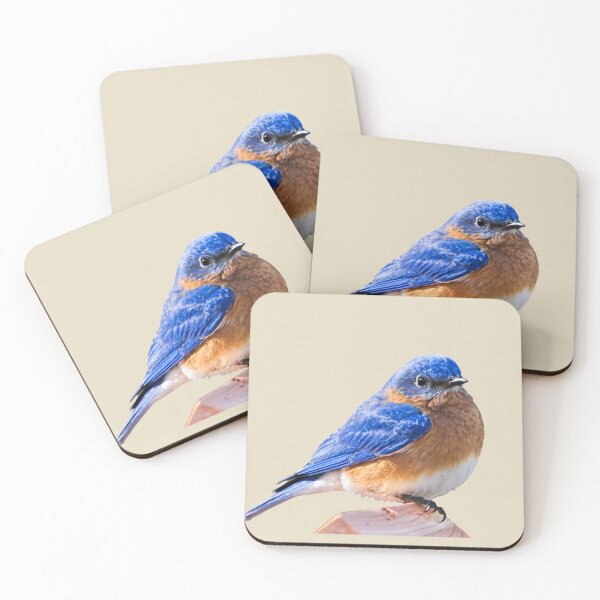 Item preview,  BLUE BIRD  designed and sold by THE AMERICAN TEEVANGELIST.