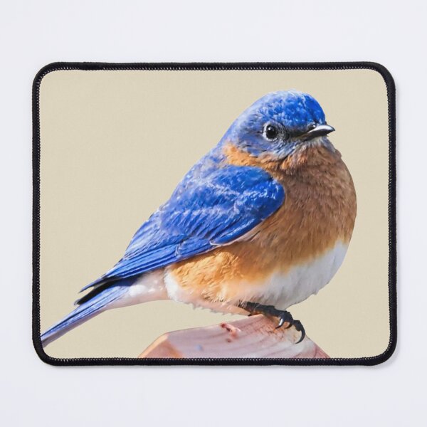Item preview,  BLUE BIRD  designed and sold by THE AMERICAN TEEVANGELIST.