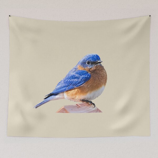 Item preview,  BLUE BIRD  designed and sold by THE AMERICAN TEEVANGELIST.