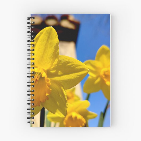 Item preview, The star.(daffodil) designed and sold by elGatCendrer.