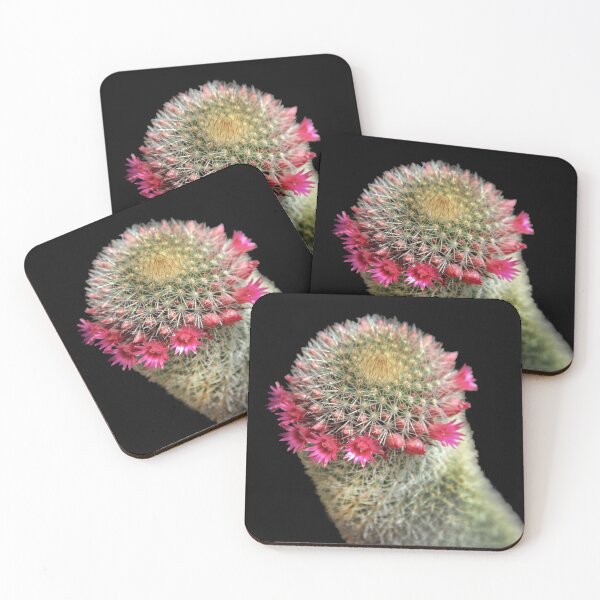 Item preview, Ring Around the Cactus designed and sold by heatherfriedman.
