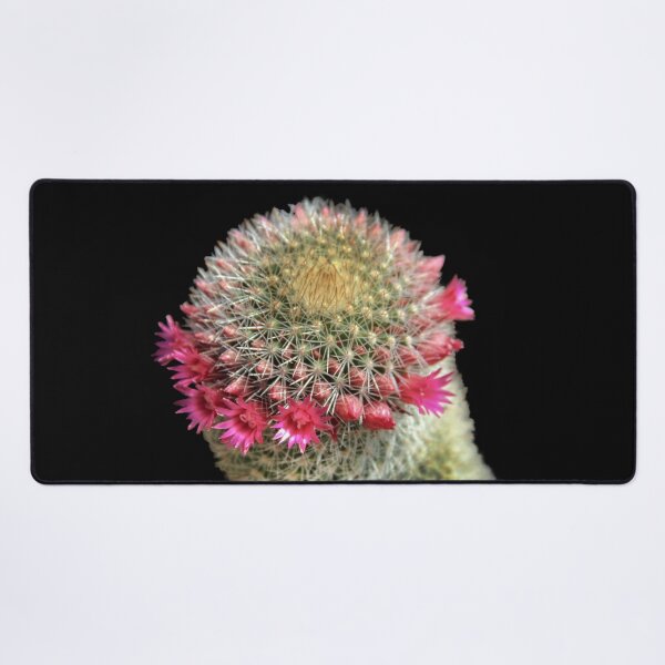 Item preview, Ring Around the Cactus designed and sold by heatherfriedman.