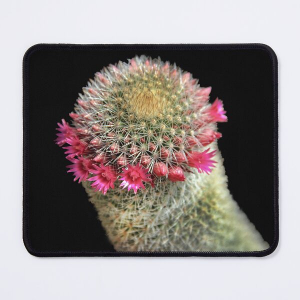 Item preview, Ring Around the Cactus designed and sold by heatherfriedman.
