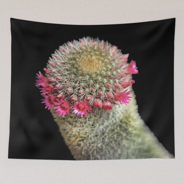Item preview, Ring Around the Cactus designed and sold by heatherfriedman.