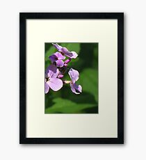 flowers Framed Print