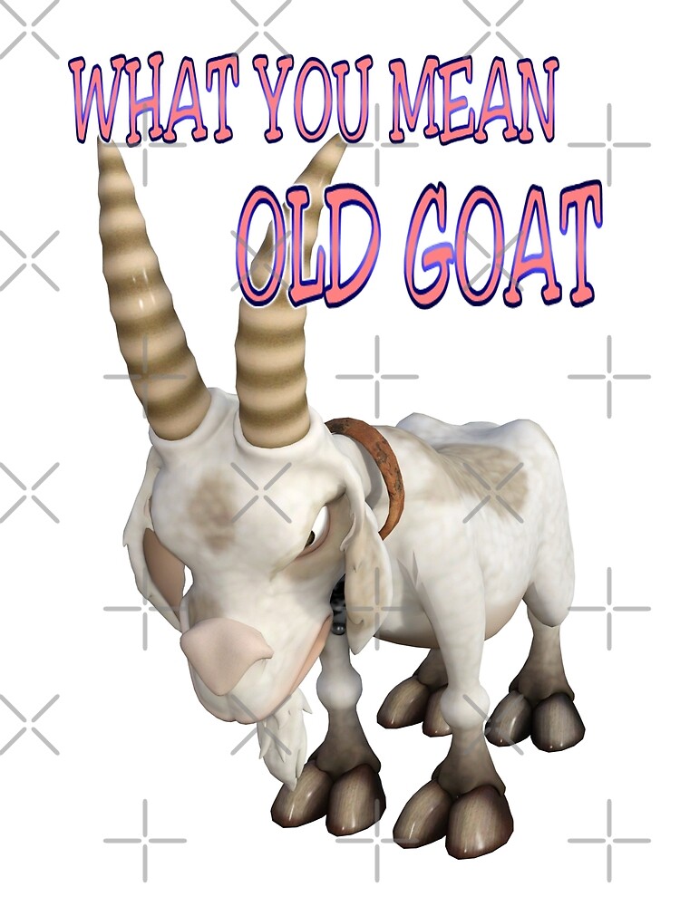 What You Mean Old Goat | Canvas Print