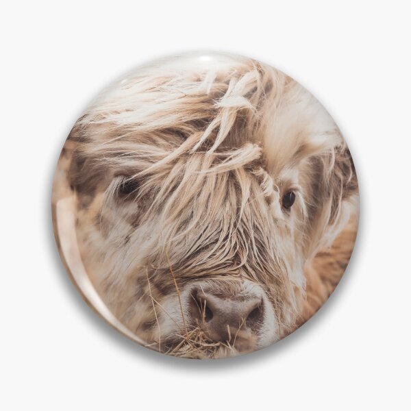 Item preview, Highlander Cows Eating  designed and sold by studio-nie.