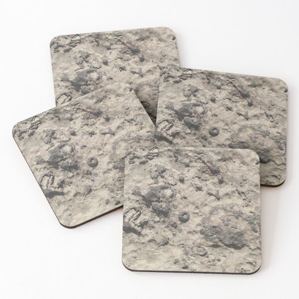 Item preview, Falls of the Ohio Fossil Hunter 10 designed and sold by Relics Of The Day.