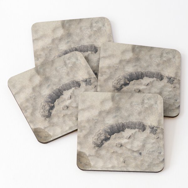 Item preview, Falls of the Ohio Fossil Hunter 04 designed and sold by Relics Of The Day.