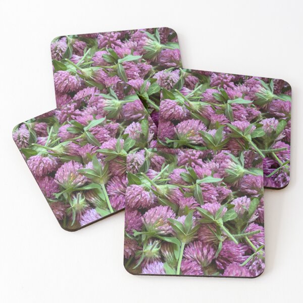 Item preview, Wild clover designed and sold by WildcraftTrade.